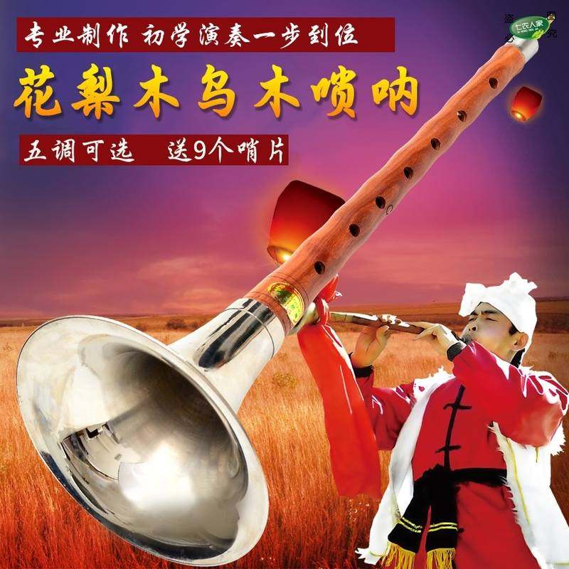 唢呐乐器全套专业初学者入门自学成人儿童传统民间吹奏类索拉喇叭