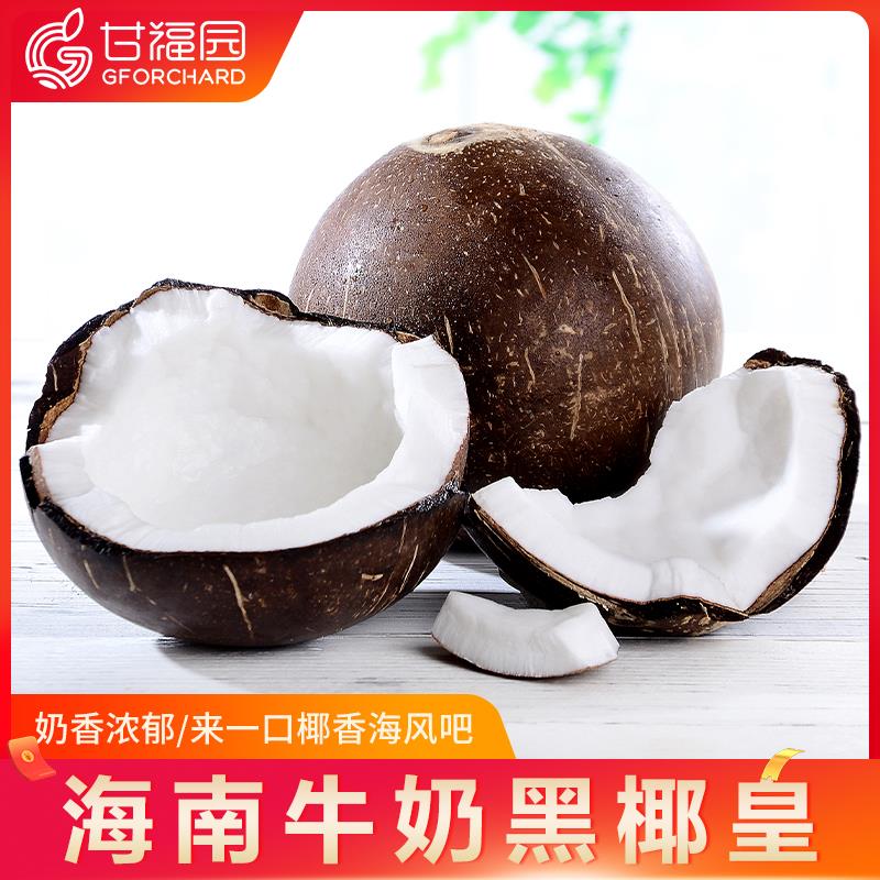 海南牛奶黑椰皇6个新鲜当季水果椰青椰皇老椰子肉椰汁椰奶冻包邮