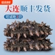 【大连顺丰发货】即食海参500g鲜活辽参海生刺参单个装官方旗舰店