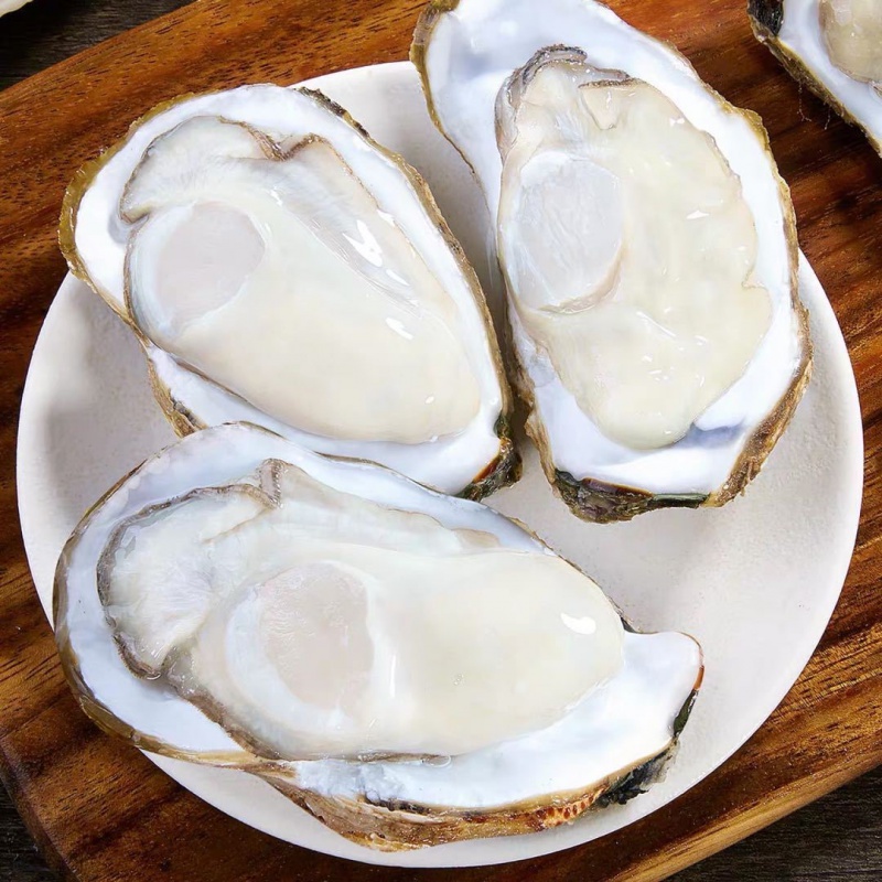 山东特大乳山生蚝野生鲜活大牡蛎即食带壳海蛎子深海鲜活海鲜顺丰