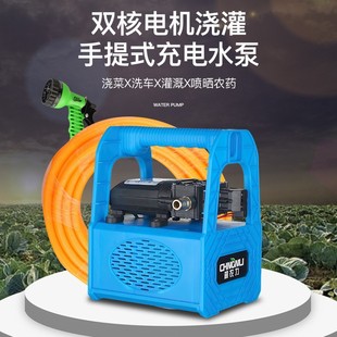 电动喷雾器农用打药机高压农用新式农药喷洒器雾化喷枪小型喷药机