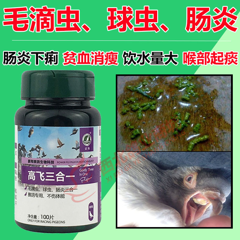 豪翔鸽药高飞三合一毛滴虫球虫肠炎下痢水绿血便常见病鸽子药大全