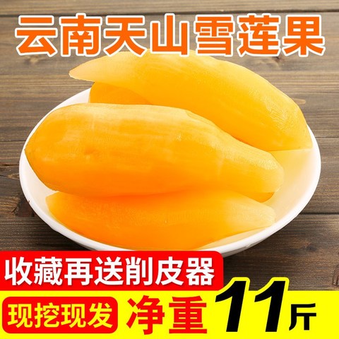 云南天山红泥沙雪莲果现挖11斤孕妇水果新鲜包邮红心特级当季10