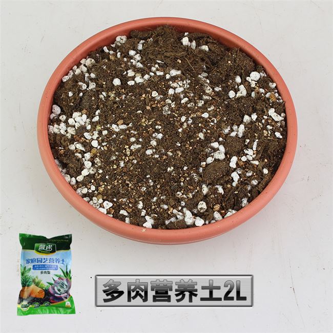 通用圆粒多用泥炭土颗粒 有机营养土多肉介质兰花植料养花泥花肥