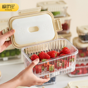 便携式小冰箱保鲜盒食品级密封户外野餐专用带外出水果神器带提手