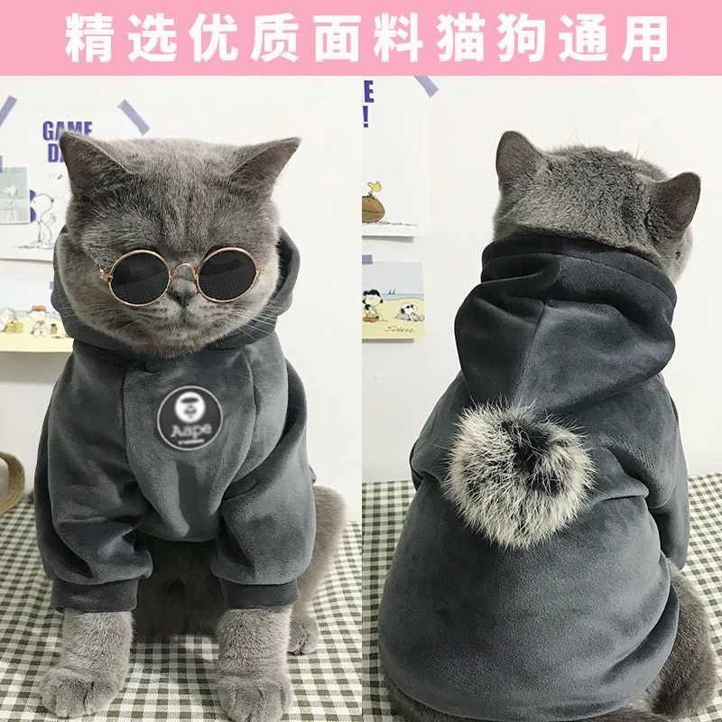 猫咪衣服秋冬季保暖加厚卫衣蓝猫英短布偶幼猫宠物狗狗过冬防寒服