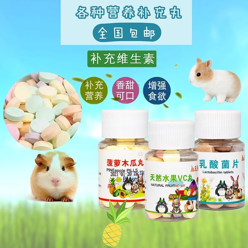 宝莱康荷兰猪豚鼠兔子仓鼠龙猫水果VC丸排毛木瓜丸乳酸菌片50粒