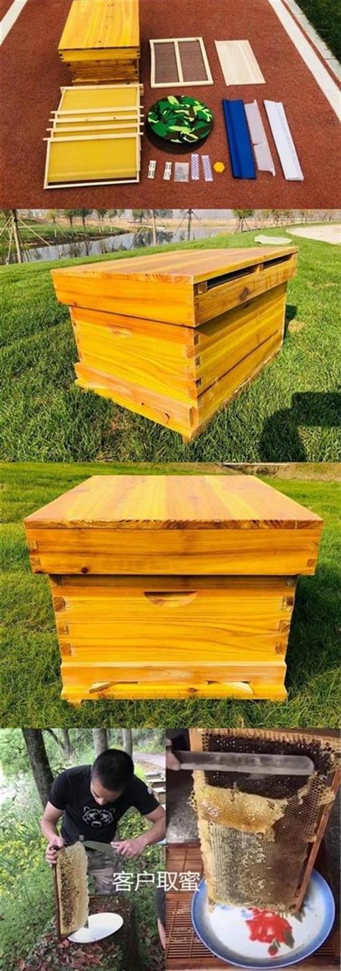 蜂具巢础养蜂工具蜂蜡全套蜜蜂箱一体收蜂笼高箱中锋带框加厚家用