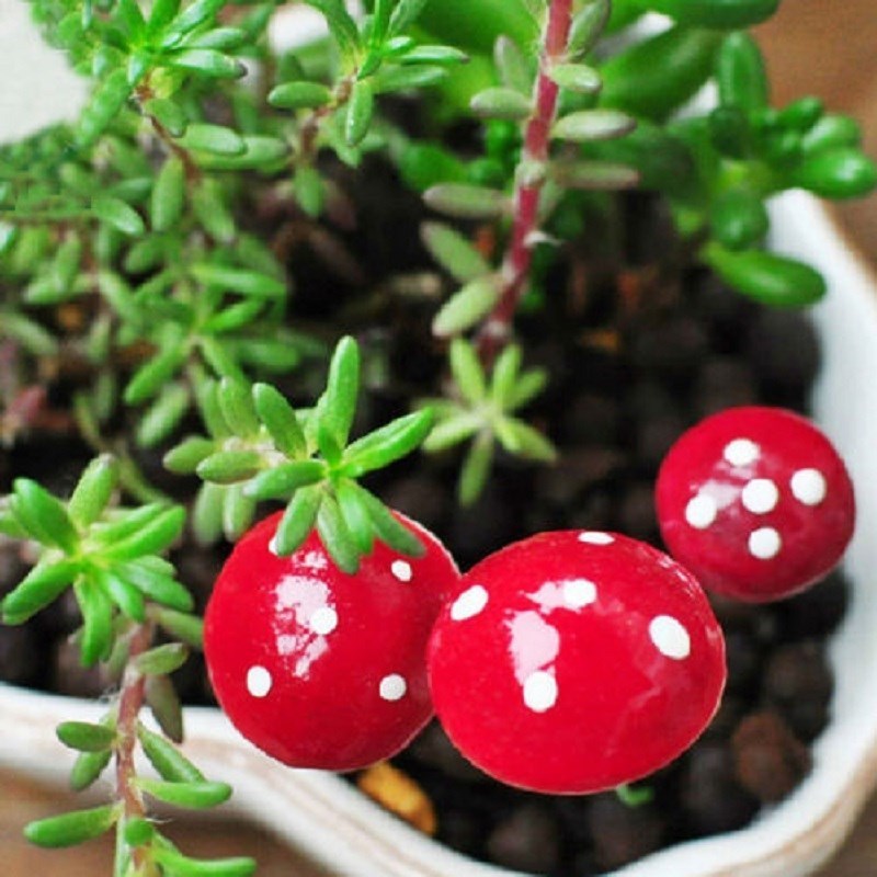 10Pcs Lovely Mini Red Mushroom Garden Ornament DIY Dollhouse