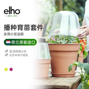 elho种菜营养钵豆苗种植盘发芽盆育苗盆塑料种子菜苗培育托盘家用