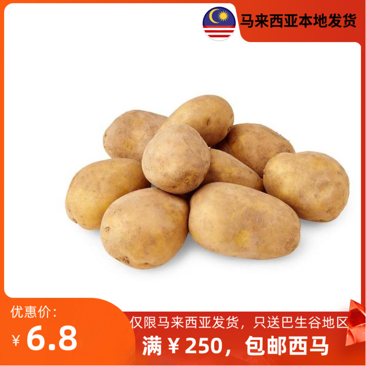 荷兰马铃薯premiumhollandpotato800g马来西亚发货其它