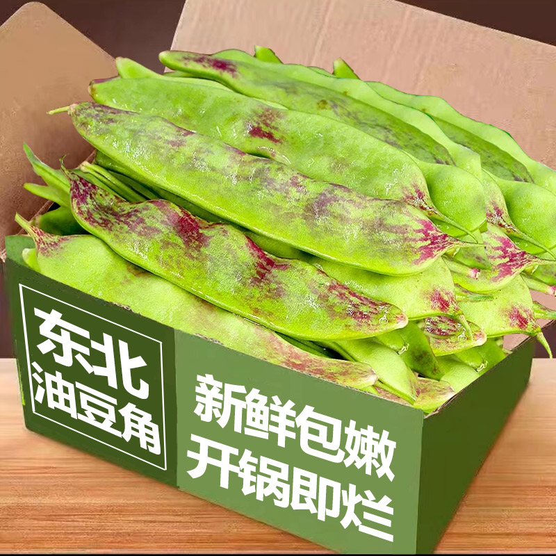 2024东北油豆角5斤新鲜现摘蔬菜