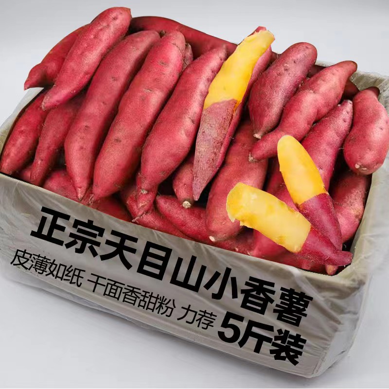 新鲜板栗红薯临安天目山小香薯旗舰店