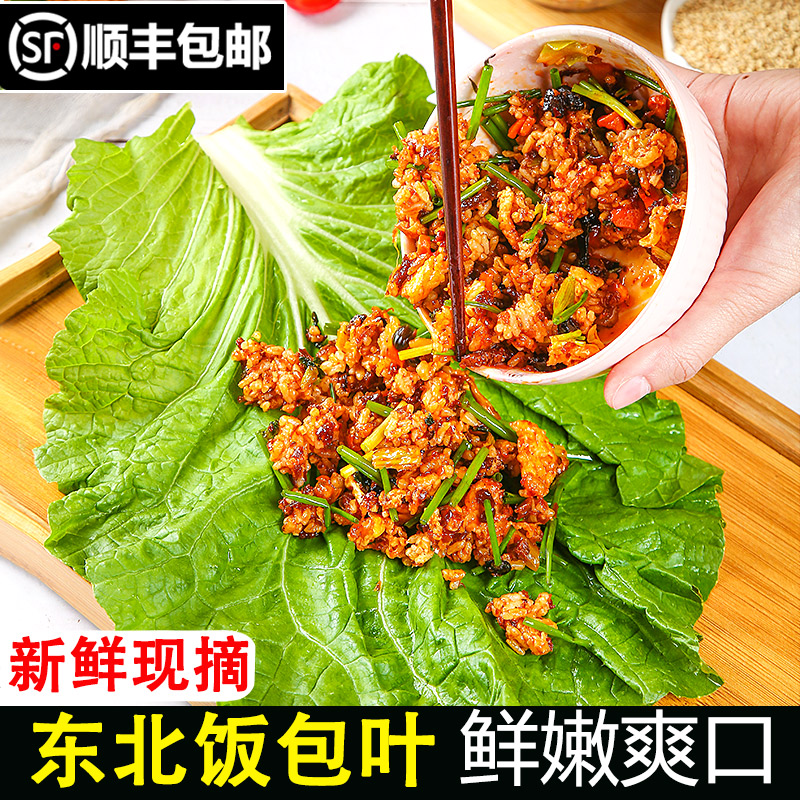 新鲜大白菜叶包饭叶蘸酱菜蔬菜东北特