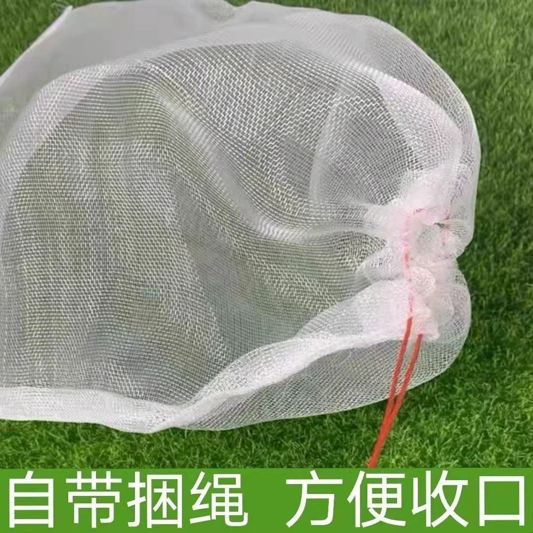 防虫尼龙网袋水稻浸种袋晾晒腊肉肠火腿抽绳网兜结实耐用收纳袋子