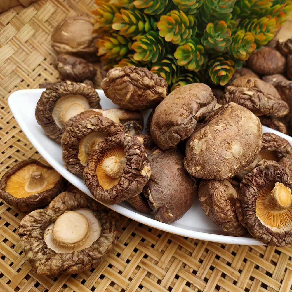 四川大巴山椴木香菇250g天然含富硒菌菇干货特级农产品真空包装