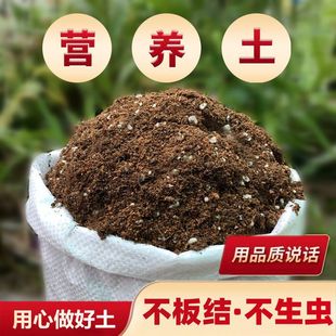 营养土养花通用型专用家用土种花花土家用种菜土壤种植土盆栽泥土