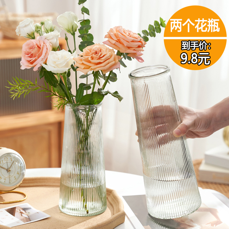 【两件套】北欧玻璃花瓶透明水养鲜花