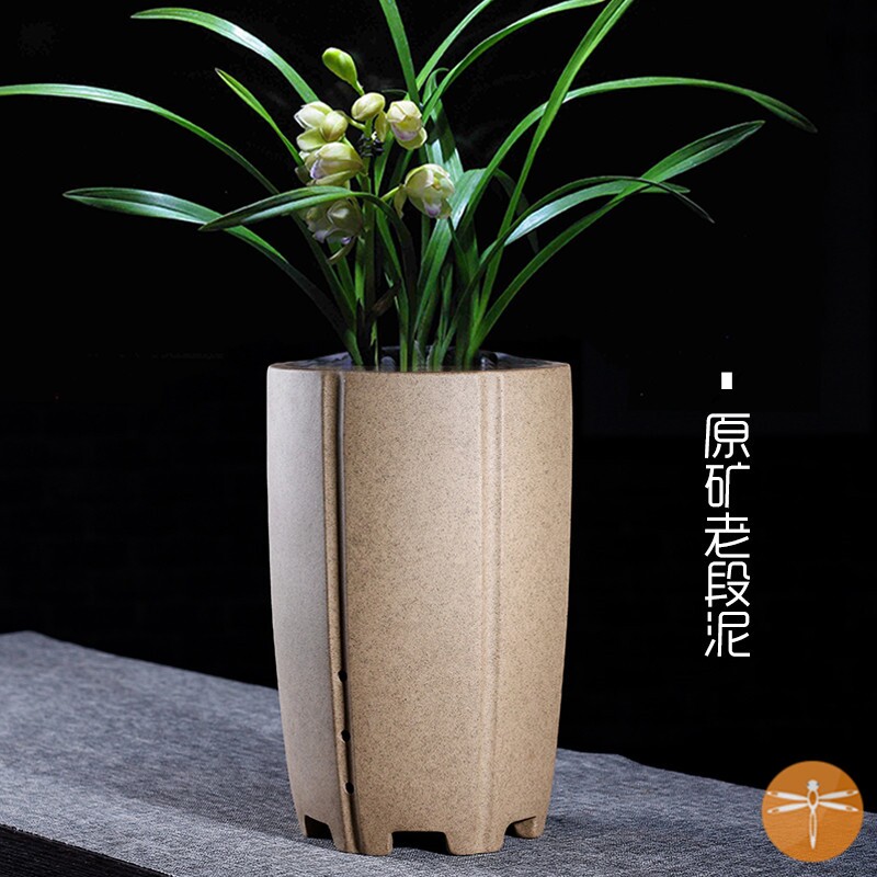 高端兰花花盆君子兰2022新款室内瓷盆轻奢现代简约养绿萝的专用