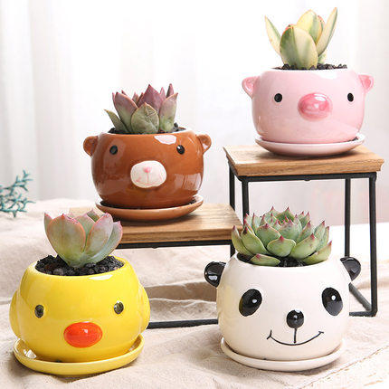 花盆创意意多室内陶瓷托盘可爱动物个性卡通花盆