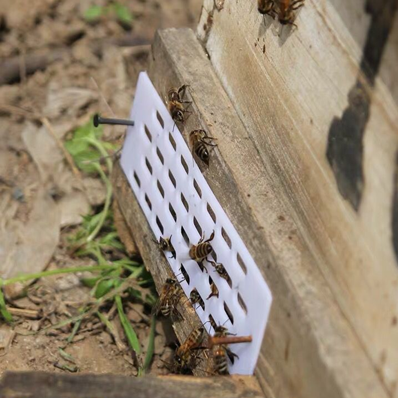 中蜂防跑片50片装包邮 蜂王防逃栅隔王片塑料隔王板在类目 传统滋补营养品, 蜂产品, 养蜂工具中 - 来自Buy2taobao.com提供专业的淘宝代购服务