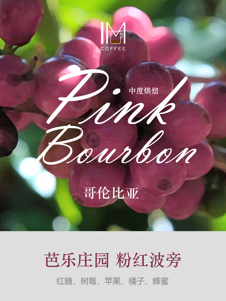 庄园印象新产哥伦比亚芭乐粉红波旁水洗咖啡豆227g咖啡豆