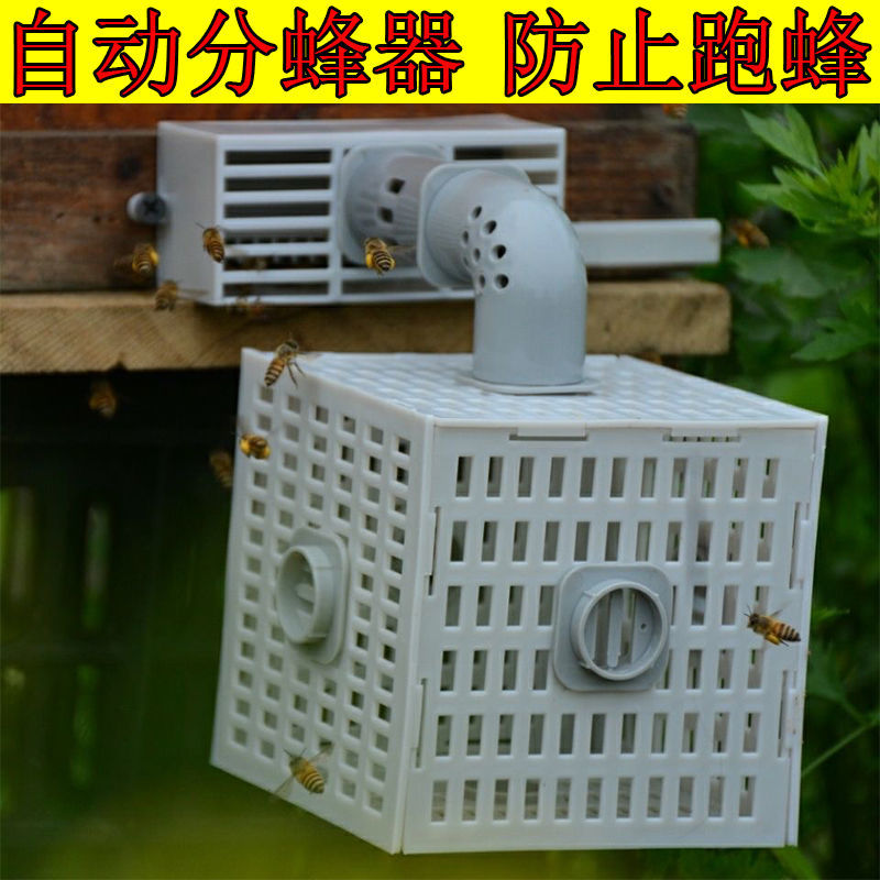 自动分蜂器中蜂收蜂器去除雄峰器多功能蜜蜂蜂箱无人值守防逃神器