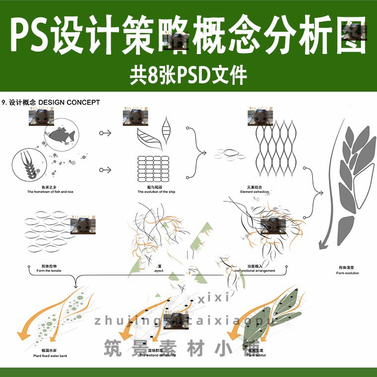 景观规划设计构思演变概念策略psd分析图素材ps样图