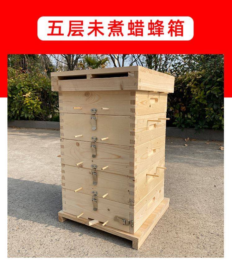 箱中蜂方格子箱诱蜂箱全套中蜂杉木煮蜡q五层养蜂工具交尾