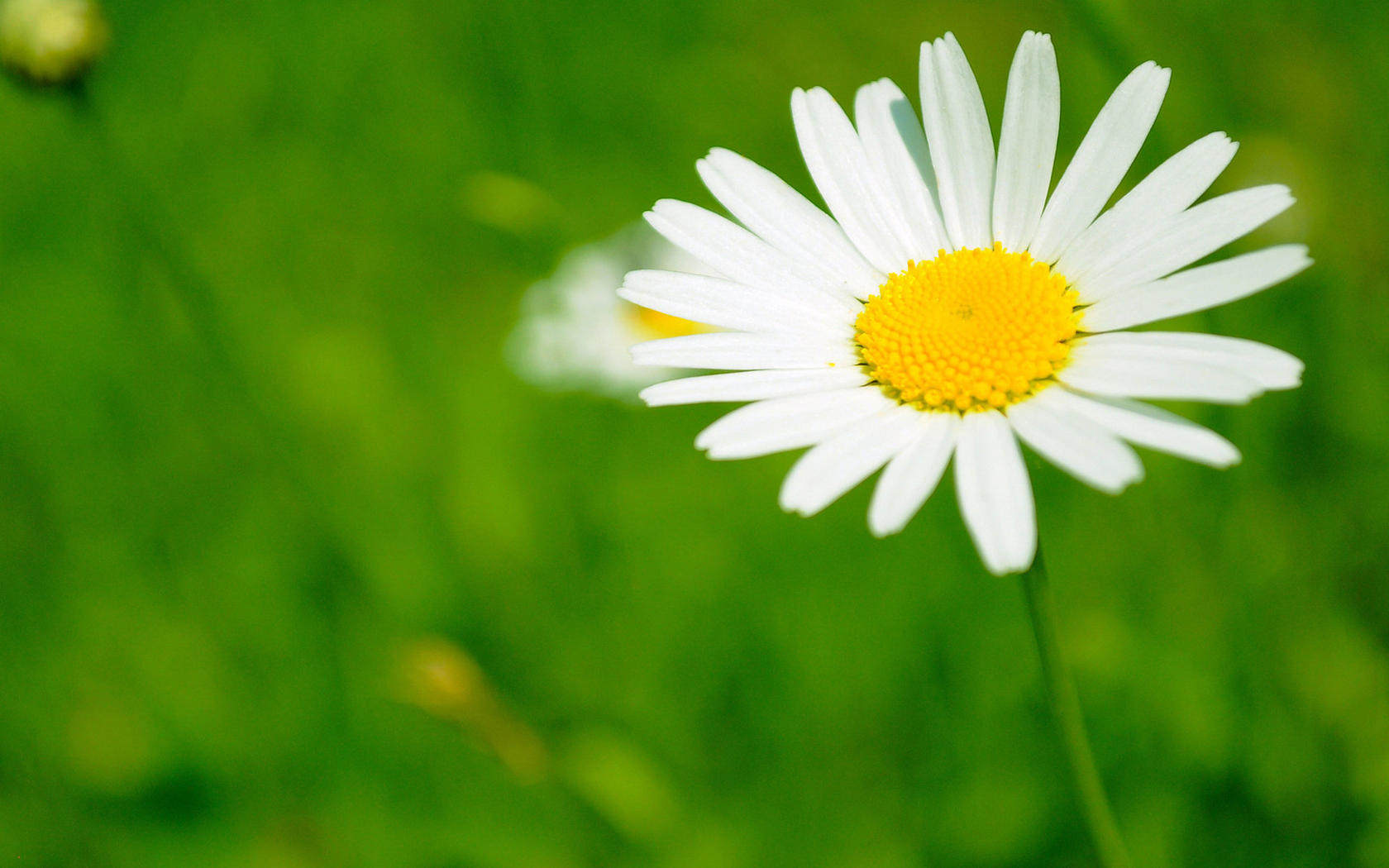 01元商品美片一毛钱壁纸一分钱宝贝秒发秒评自动ksjhf215