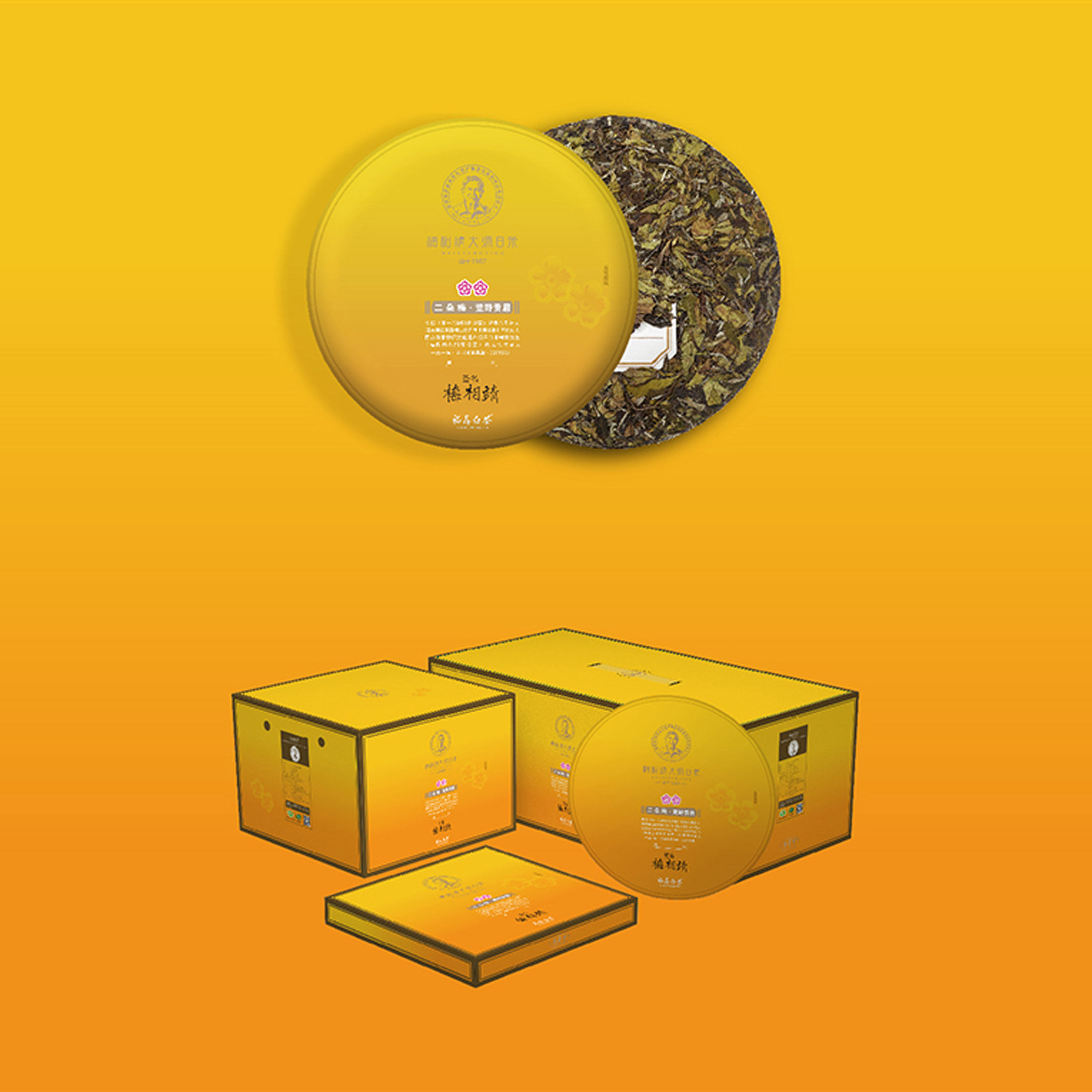 梅相靖大师二朵梅2016年荒野贡眉正宗福鼎老白茶茶饼300g