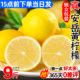 四川安岳黄柠檬9斤新鲜水果奶茶店专用皮薄一级香水甜柠檬包邮