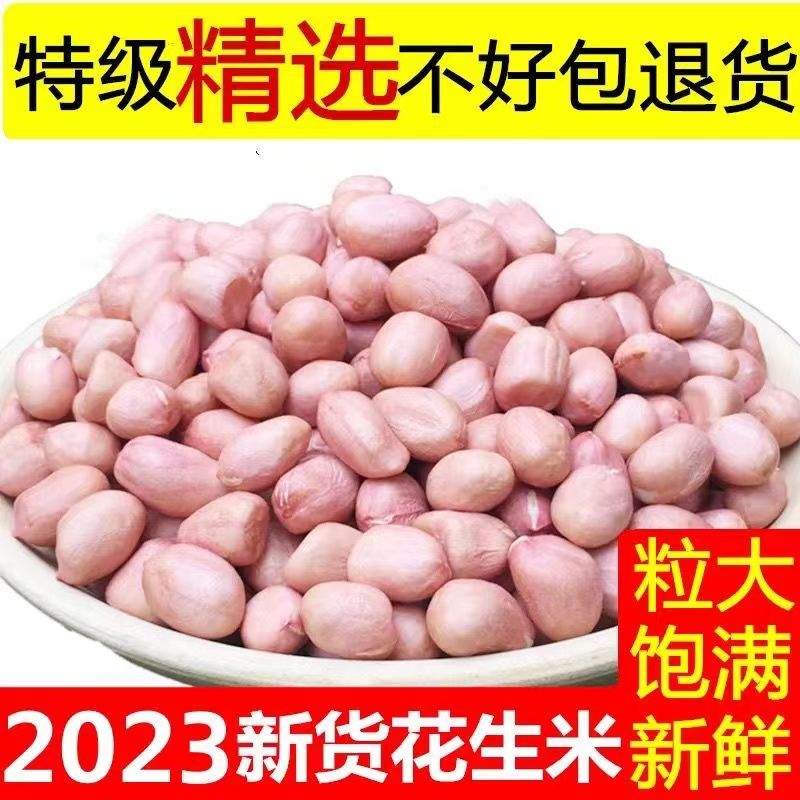 2023年新鲜花生米新货大颗粒白沙农家生花生米商用去散装壳花生仁