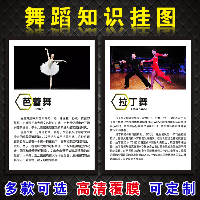 新款舞蹈房艺术壁画芭蕾舞中国舞现代舞教室布置舞种简介画框装饰挂画