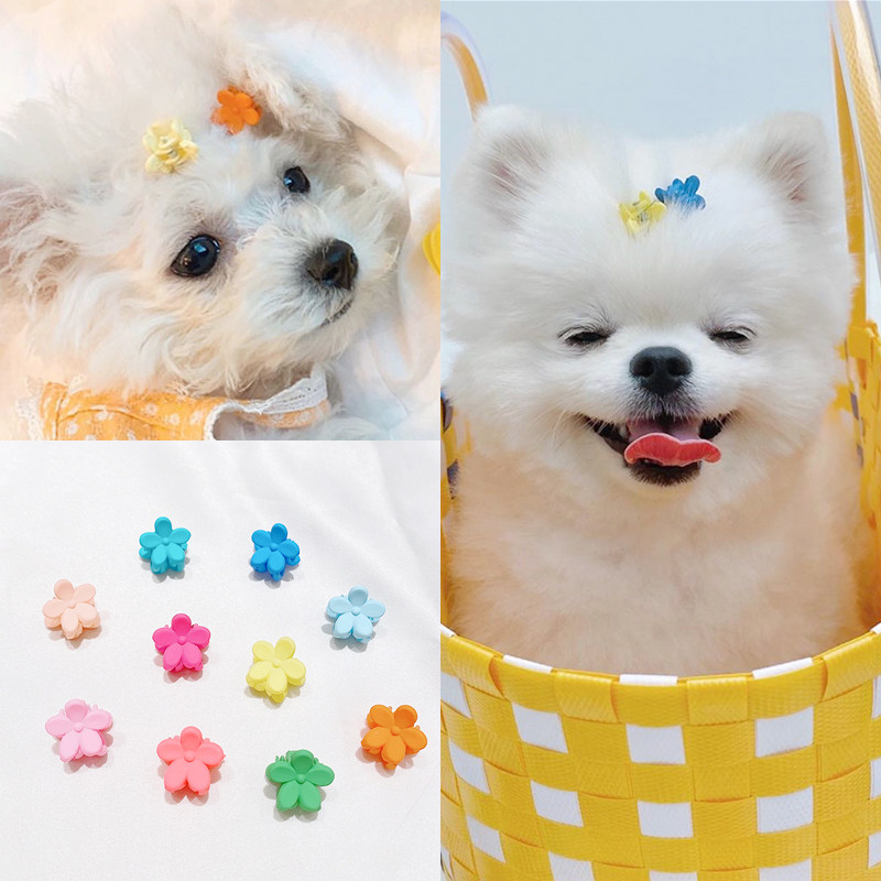 宠物发夹小狗狗头饰花朵发夹泰迪发饰发卡博美比熊小型犬马尔济斯