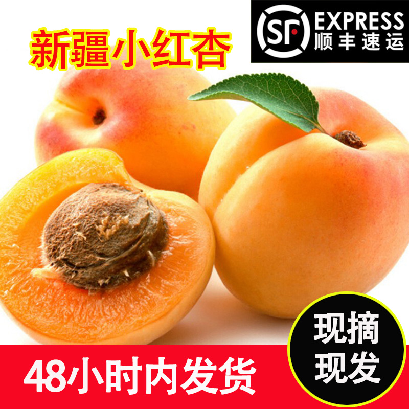 现摘新疆小红杏4斤净重新鲜伊犁树上吊干杏应季水果杏子特产零食在类目 水产肉类/新鲜蔬果/熟食, 新鲜水果, 杏中 - 来自Buy2taobao.com提供专业的淘宝代购服务