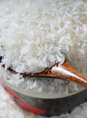 煲仔饭小包装长粒香优质米粒油粘米