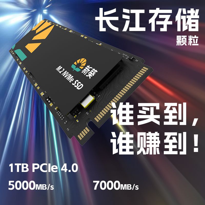 新葵X9 M.2 nvme协议 1TB 固态硬盘 pcie4.0 ssd 长江存储tlc颗粒