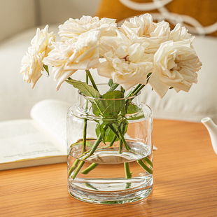 花瓶摆件客厅插花玻璃轻奢高级感透明复古餐桌矮水培玫瑰大肚宽口