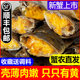 小螃蟹鲜活大闸蟹六月黄河蟹毛蟹稻田蟹香辣蟹食材活蟹海鲜水产