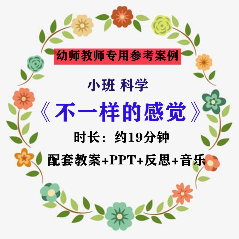 【幼师参考】幼师集体教学公开课案例小班科学《不一样的感觉》