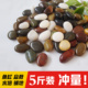 5斤鹅卵石雨花石鱼缸底砂五彩石头原石盆栽精品高抛光装饰铺地