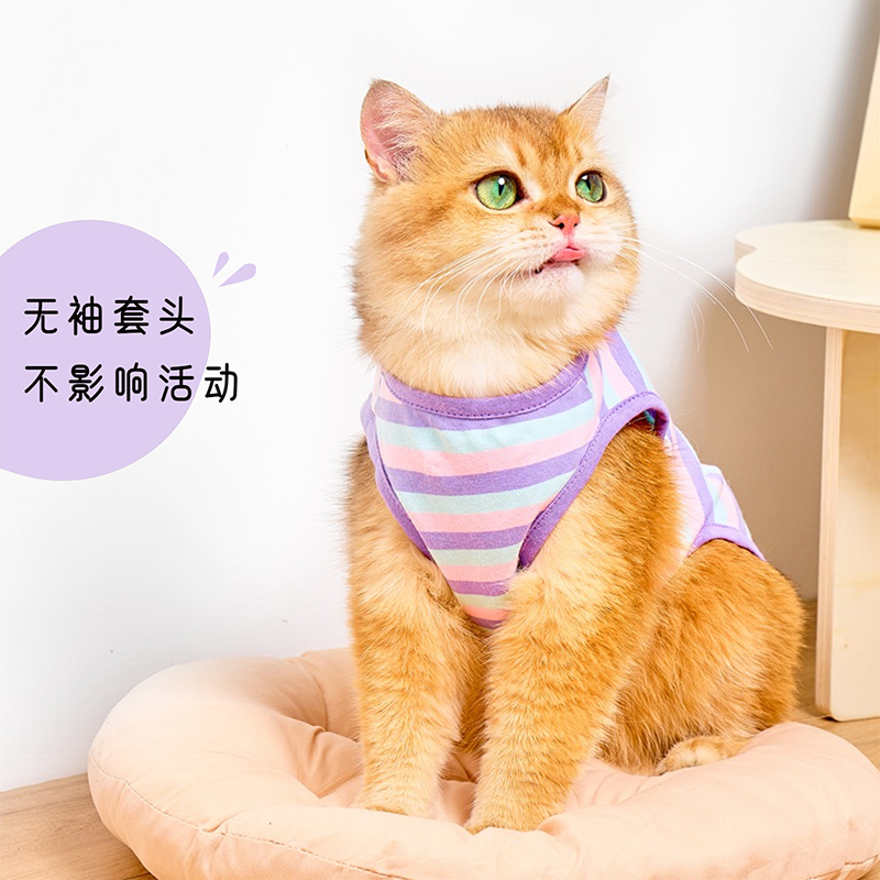 条纹猫咪衣服夏季薄款可爱防掉毛小猫幼猫金渐层布偶猫背心春秋款