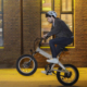 HIMO喜摩ZB20越野电动自行车便携超轻成人助力代步代驾折叠电瓶车