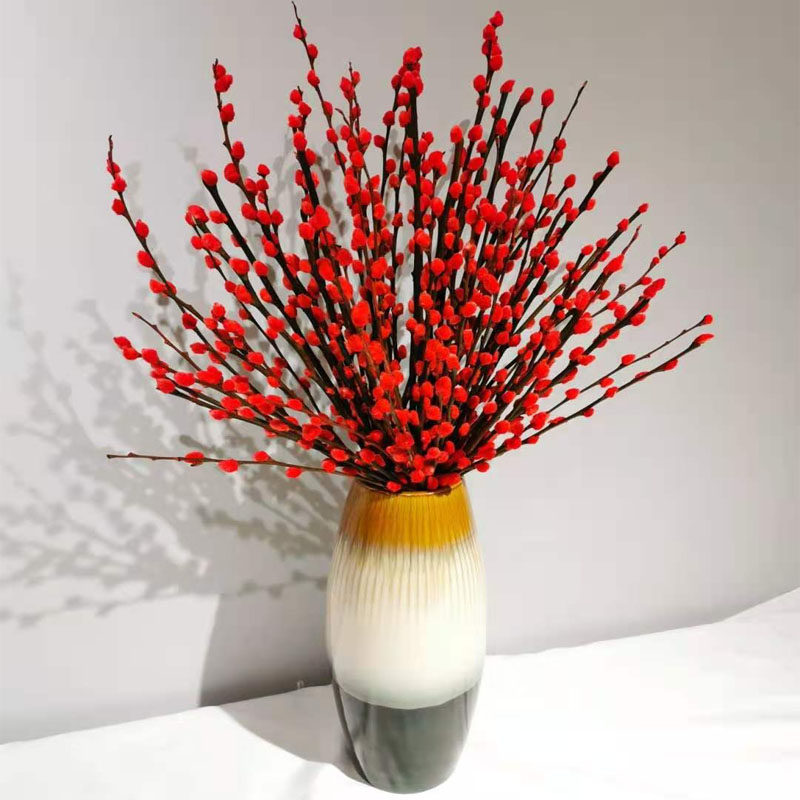 银柳彩色银柳鲜枝真花鲜花花卉冬季花卉室内装饰干花放可水养植物