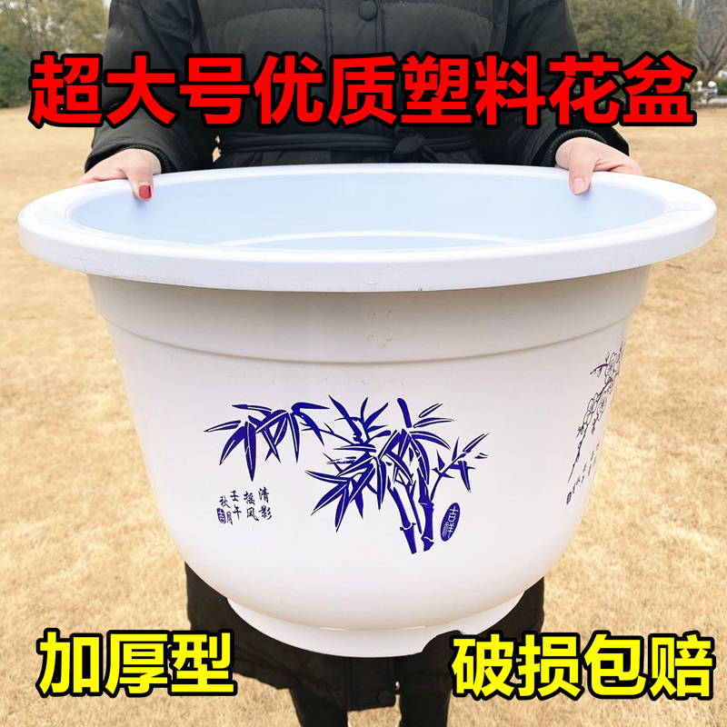 睡莲花卉盆栽白色塑料花盆无孔有孔果树盆特大号大号圆形加厚花盆