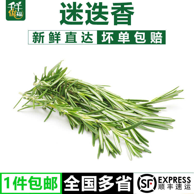 【千牛优福】新鲜迷迭香250g 西餐牛排香料食用香草调料马鞭草