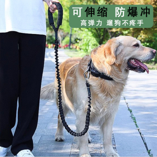 金毛狗绳大型犬可调节伸缩防爆冲拉布拉多中型遛狗狗牵引绳子项圈