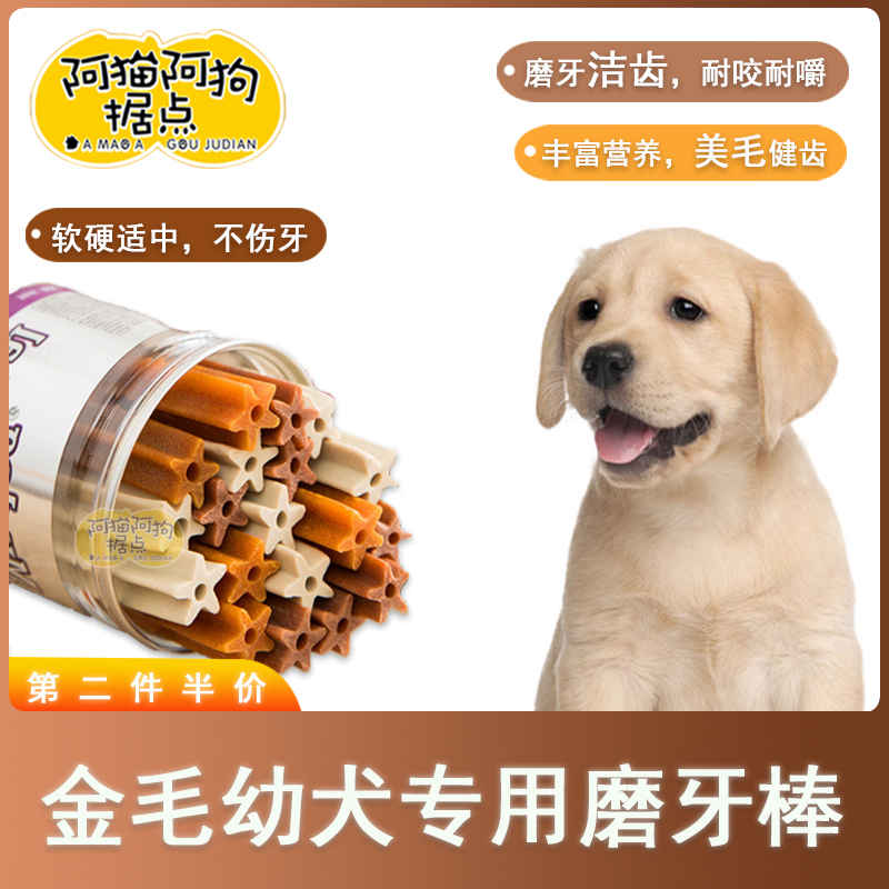 金毛幼犬专用磨牙棒两三个月小狗狗除