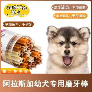 阿拉斯加犬幼犬专用零食小狗狗磨牙棒两三个月洁齿除口臭骨头宠物